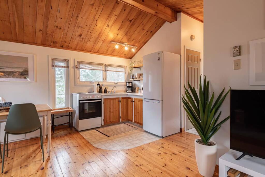 Hacketts Cove Hackett'S Cove Oceanfront Tiny Cottage For Two מראה חיצוני תמונה